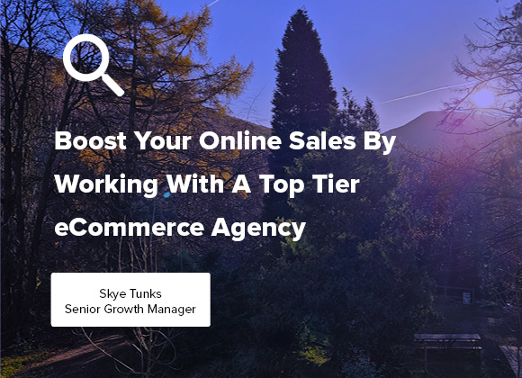 Boost Your Online Sales By Working With a Top Tier eCommerce Agency blog post
