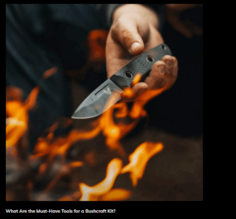 example of heinnie haynes blog