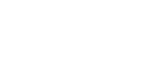 shopify plus partnership logo