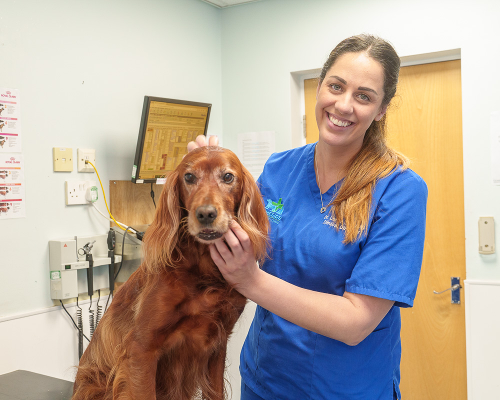picture of dog with a woman vet